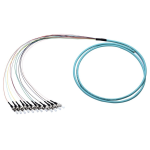 [TCM-12PSTUM4-1] Tconnect Fiber Pigtail ST Multimode 12 Fiber 50/125µm (OM4) 1m